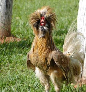 16 dont show off 1 1