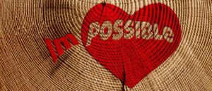 17 self esteem confidence 1