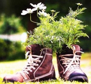 18-use-what-you-have