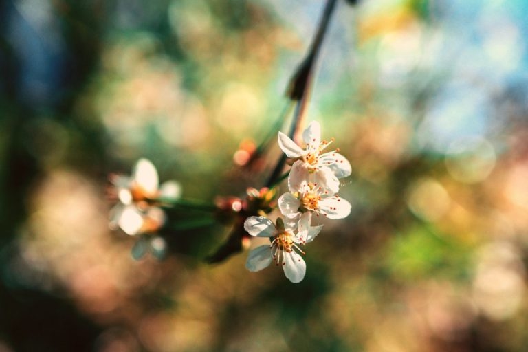 How to Improve Your Self-Esteem