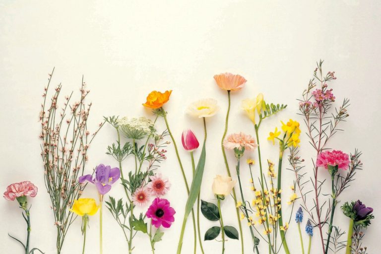 Secrets of Self Discipline