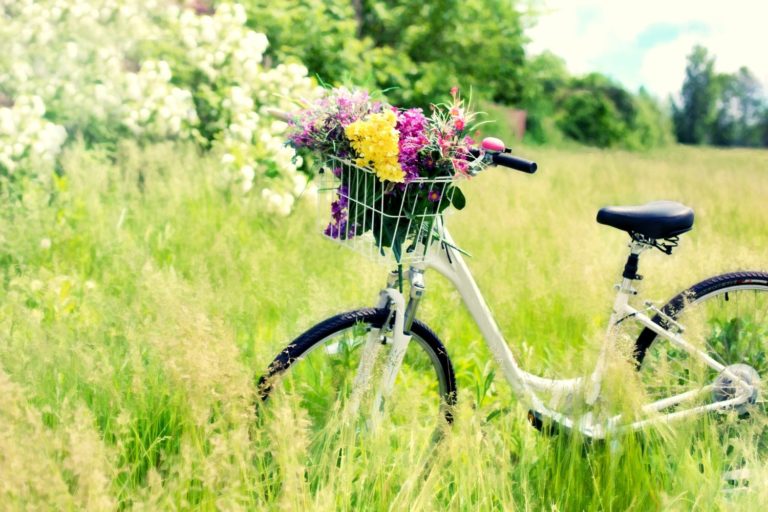 How to Have a Happy Marriage