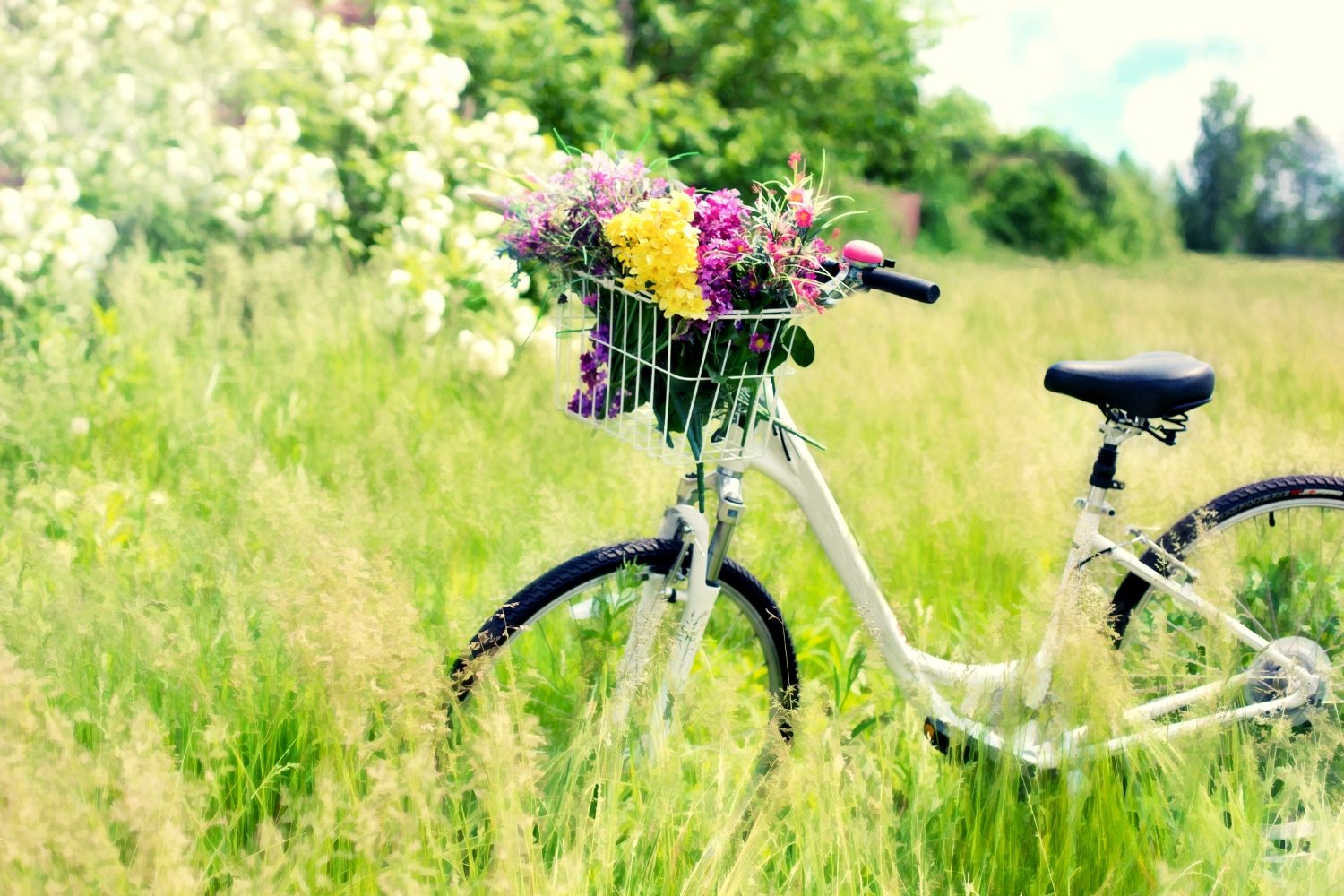 How to Have a Happy Marriage