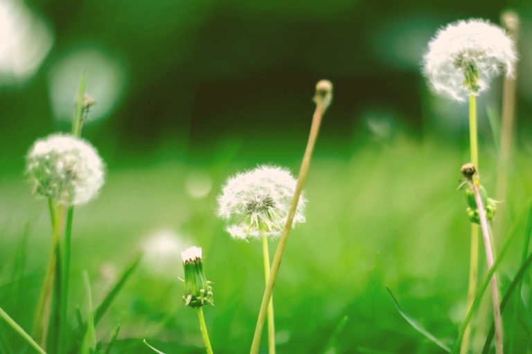 How to Be Open Minded