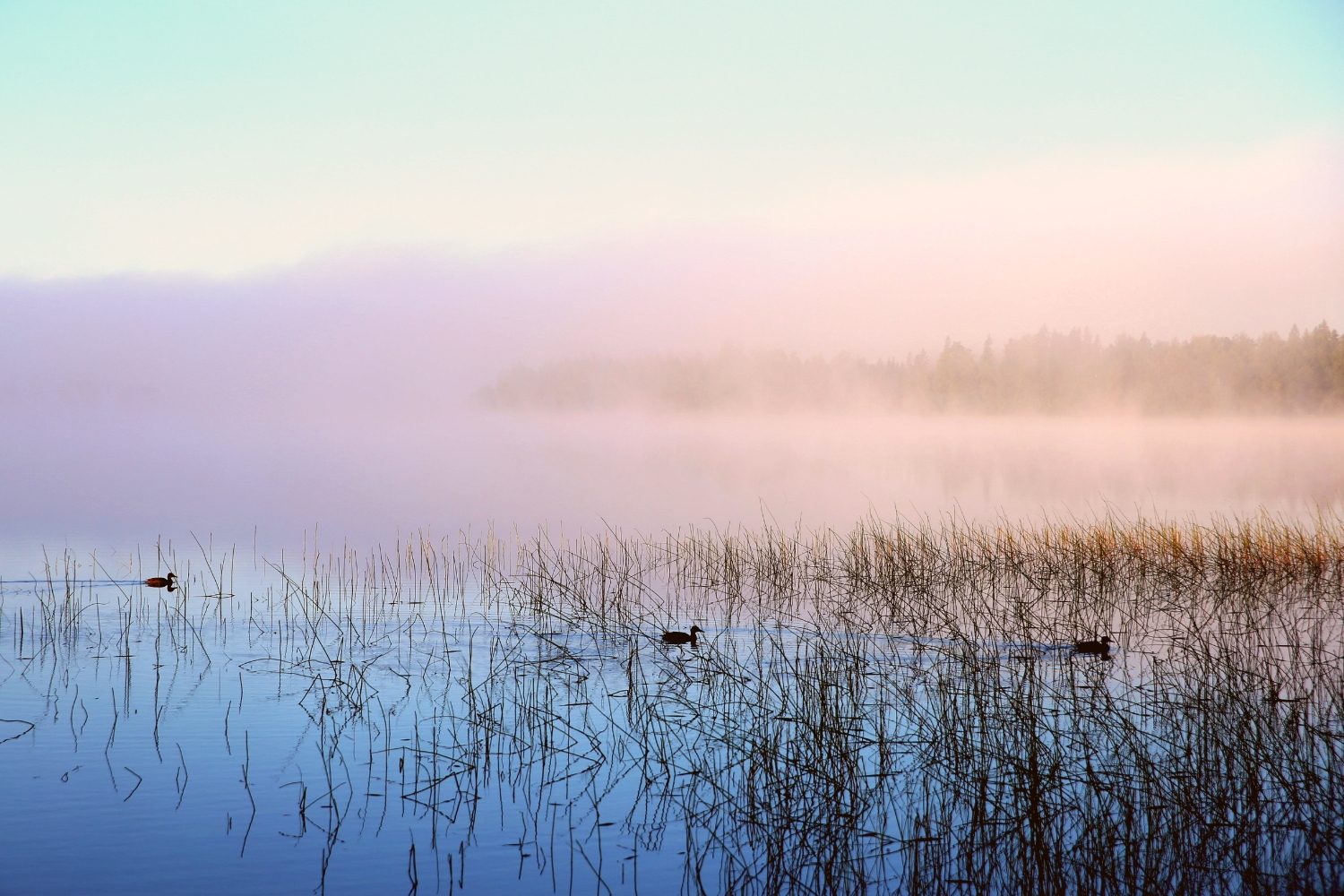 How to Improve Your Mood