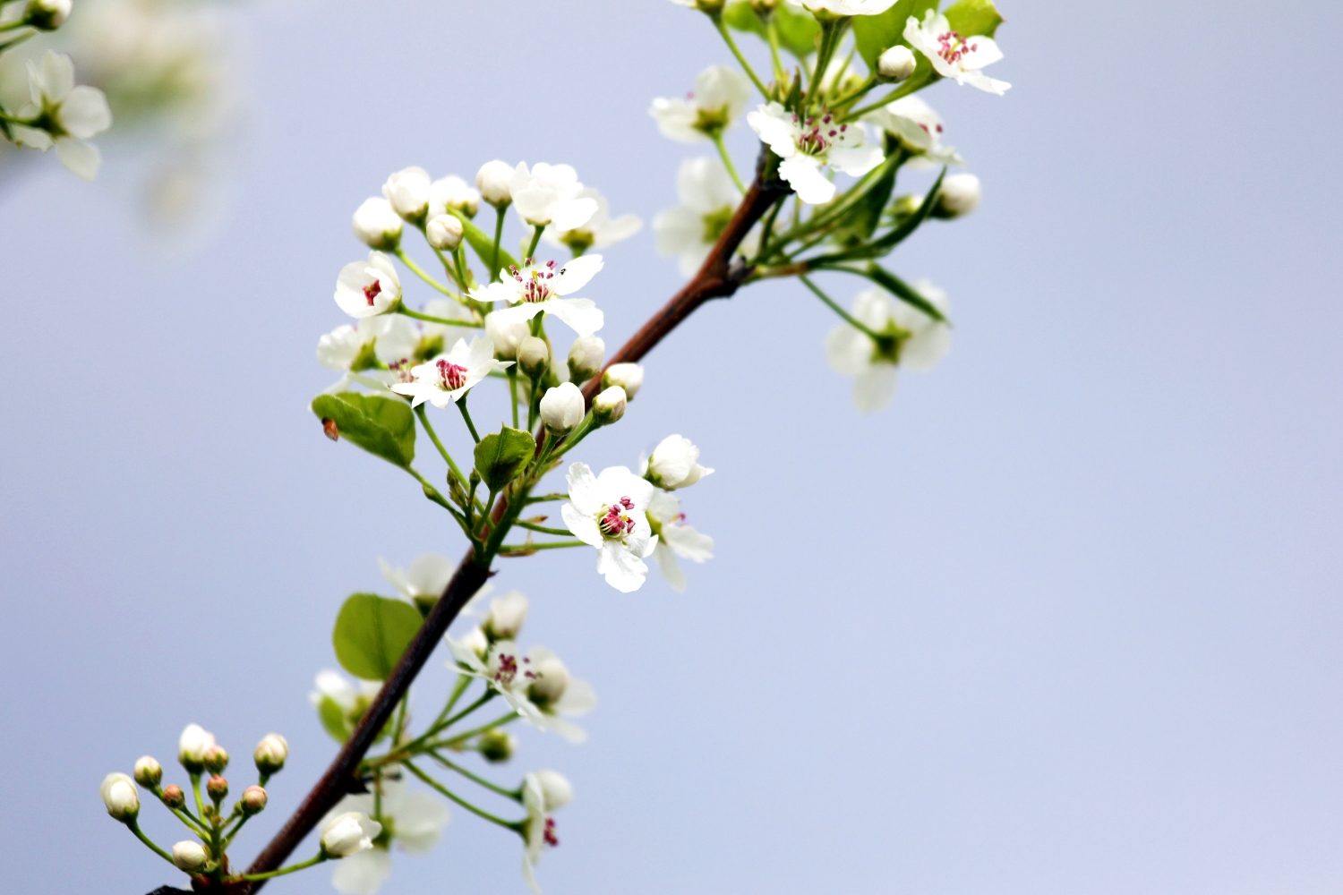 How to Simplify Your Life