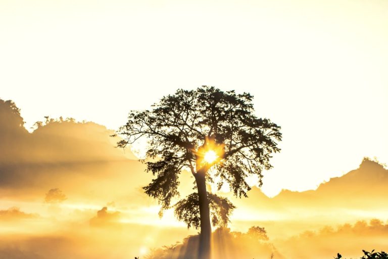 Living with Chronic Illness