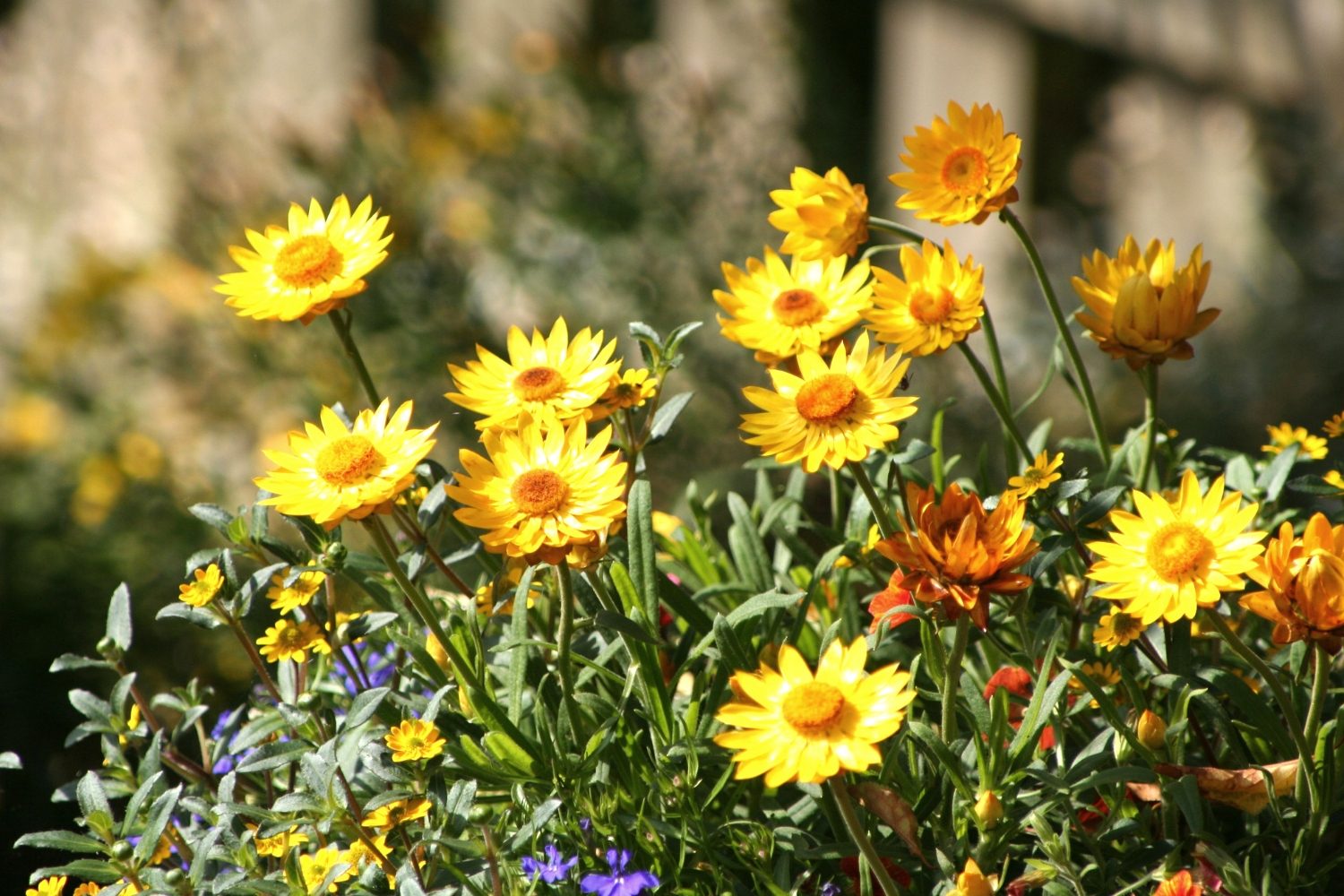 How to Stop Worrying about Everything