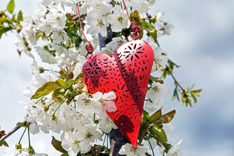 Signs of a Good and Healthy Relationship