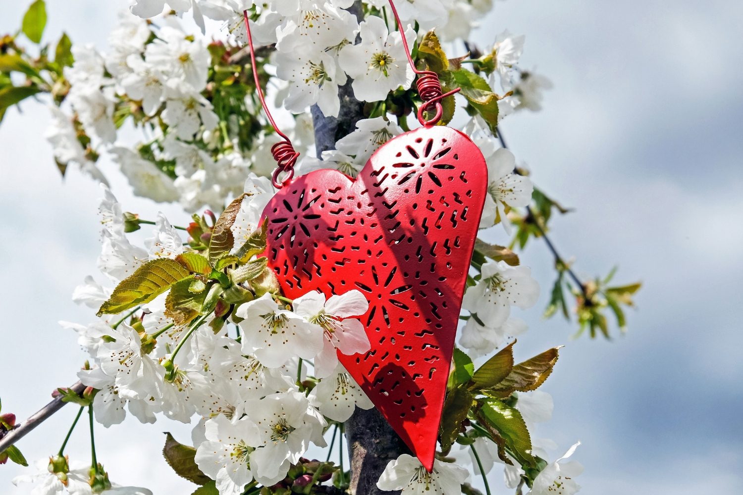 Signs of a Good and Healthy Relationship