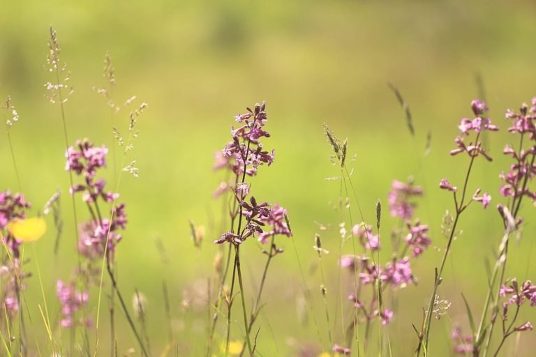 Love and Accept Yourself as You Are