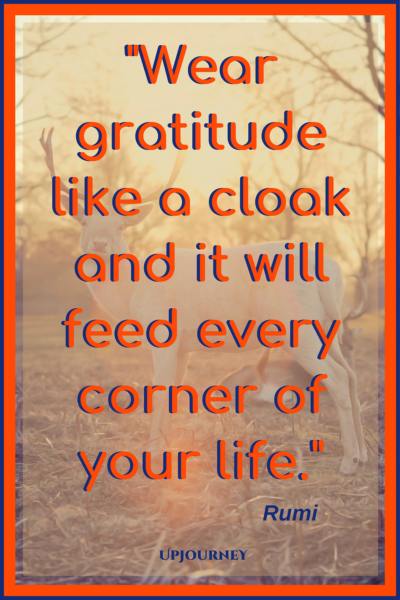 Wear gratitude like a cloak and it will feed every corner of your life. - Rumi #quotes #thankful #thankyou #gratitude #blessing
