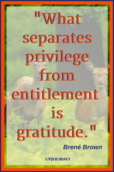 What separates privilege from entitlement is gratitude. - Brené Brown #quotes #thankful #thankyou #gratitude #blessing