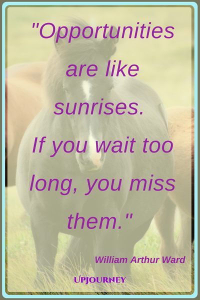 Opportunities are like sunrises. If you wait too long, you miss them. – William Arthur Ward #quotes #morning #inspirational
