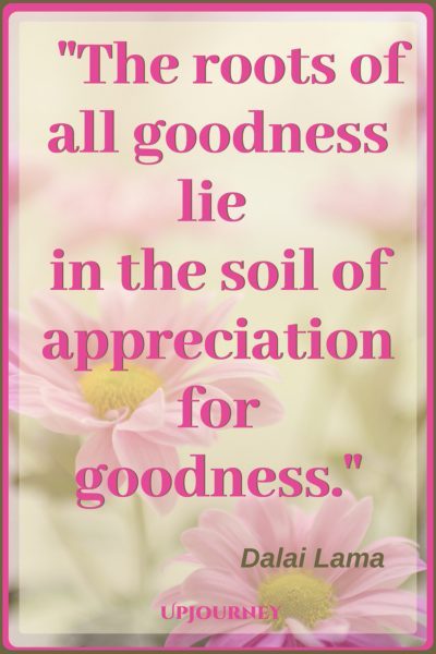 The roots of all goodness lie in the soil of appreciation for goodness. - Dalai Lama #quotes #inspirational #gratitude 