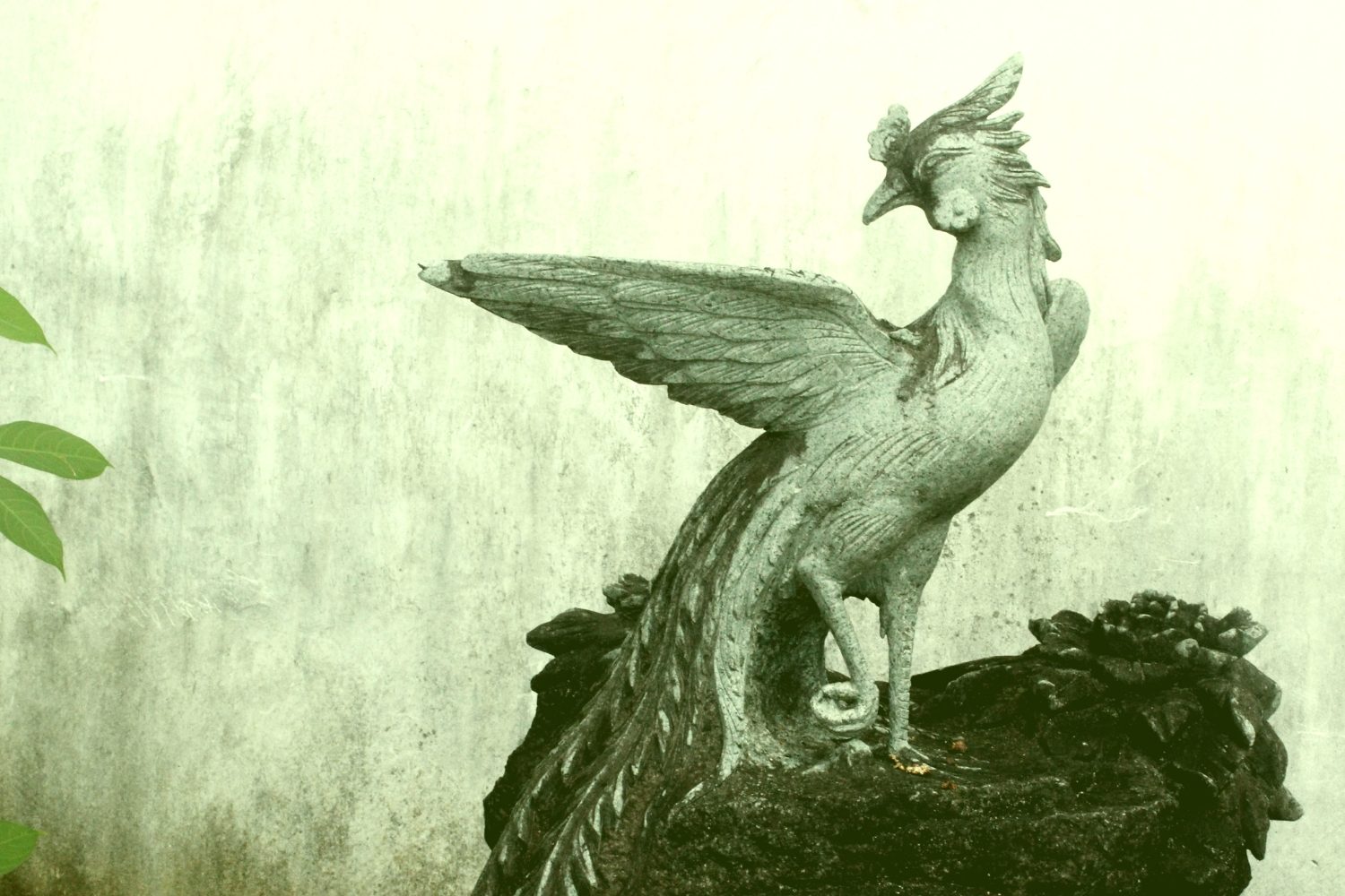 Best Phoenix Rising from the Ashes Quotes