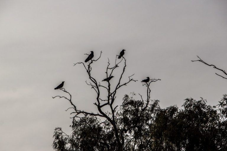 Best Scariest Quotes