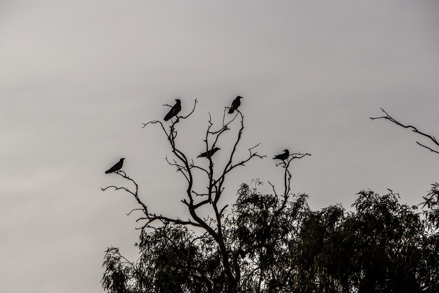 Best Scariest Quotes