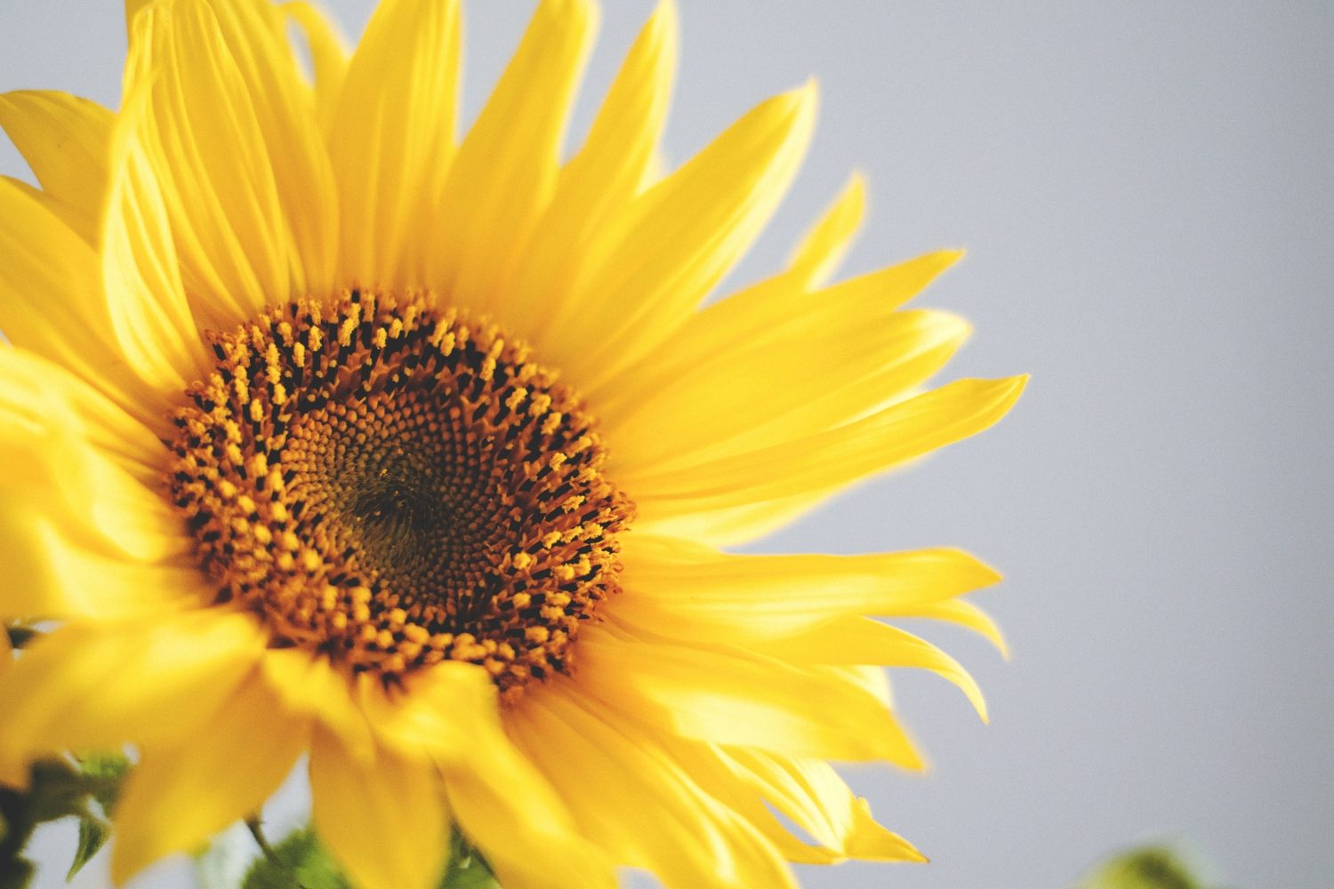 HAPPY Thursday Quotes