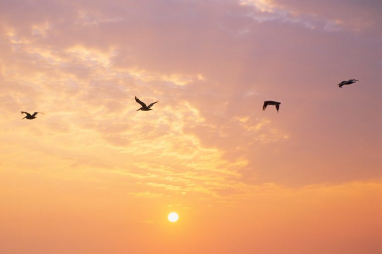 Inspirational Good Morning Quotes