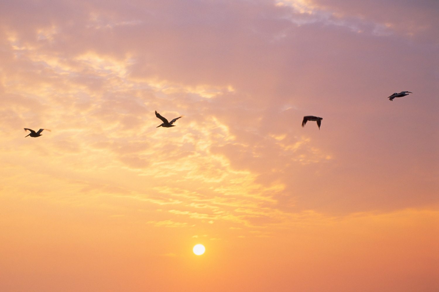 Inspirational Good Morning Quotes