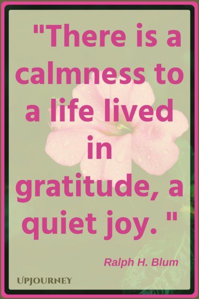 There is a calmness to a life lived in gratitude, a quiet joy. - Ralph H. Blum #quotes #inspirational #gratitude 