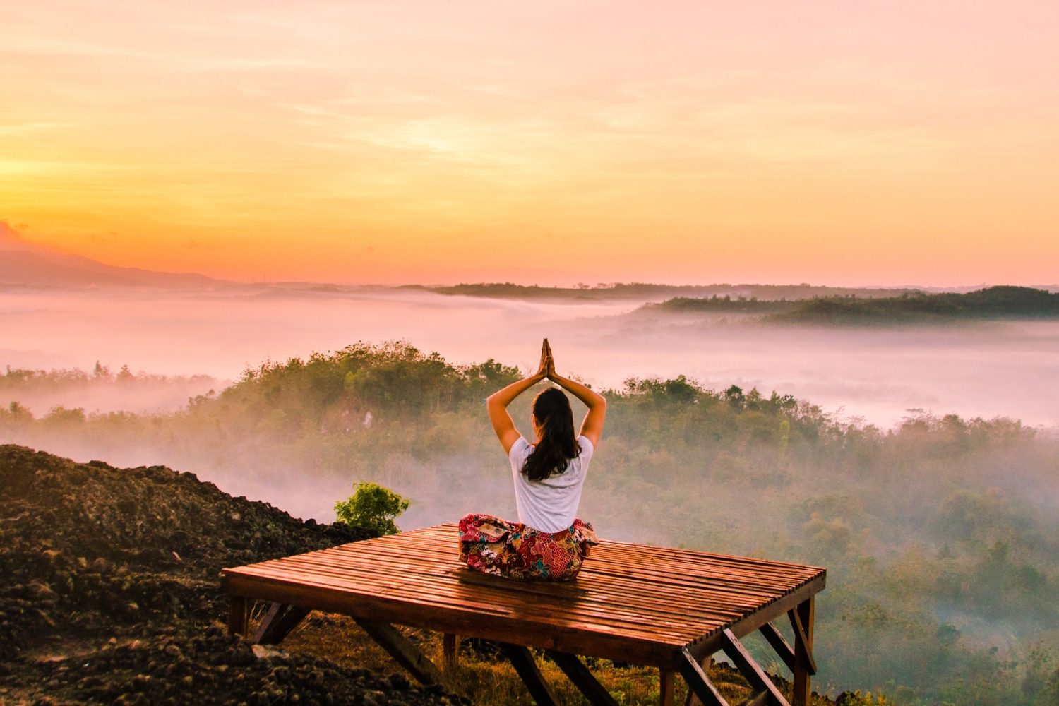 Best Books about The Brain and Mind