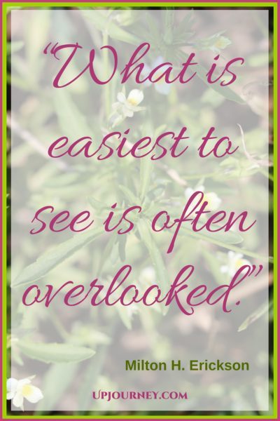 What is easiest to see is often overlooked. #quotes #books #toread #bookworm #hypnosis