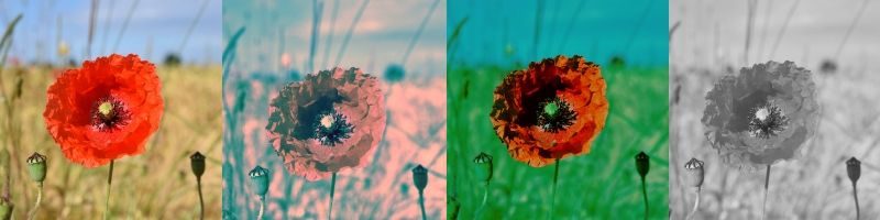 Best Books on Self Love