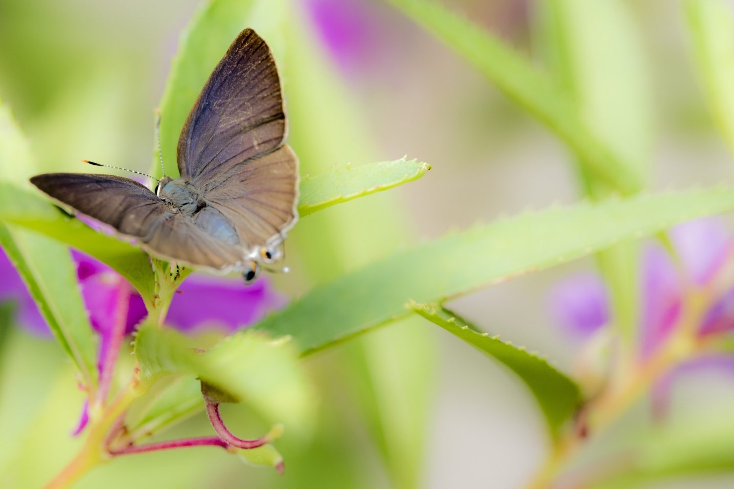 Best Life Changing Books