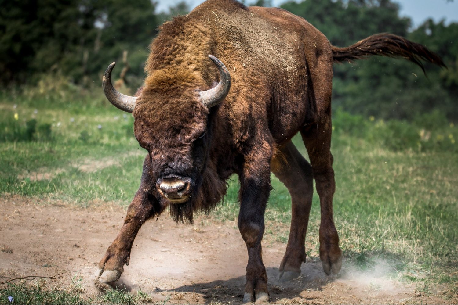 What is Anger Management