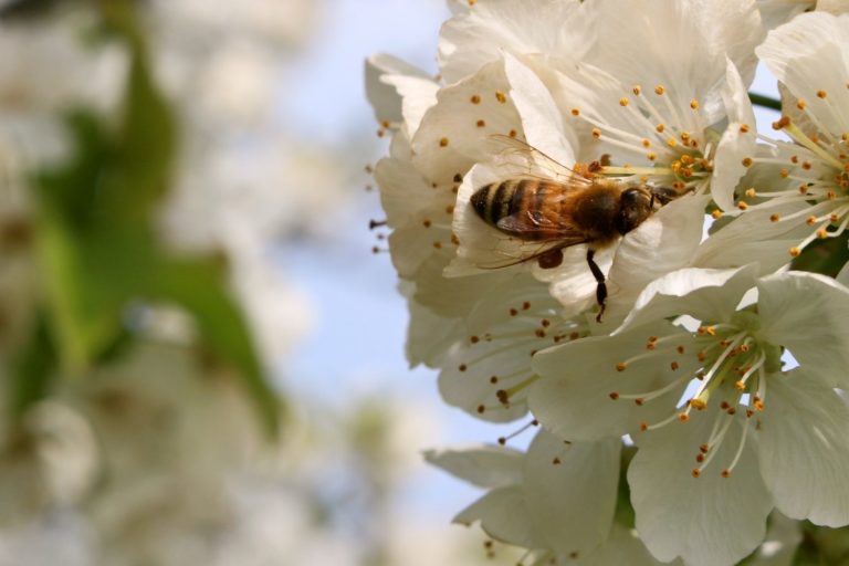 Why Self Help Books are Good