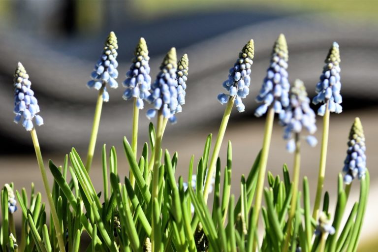 What Causes Insecurity and Jealousy in a Relationship