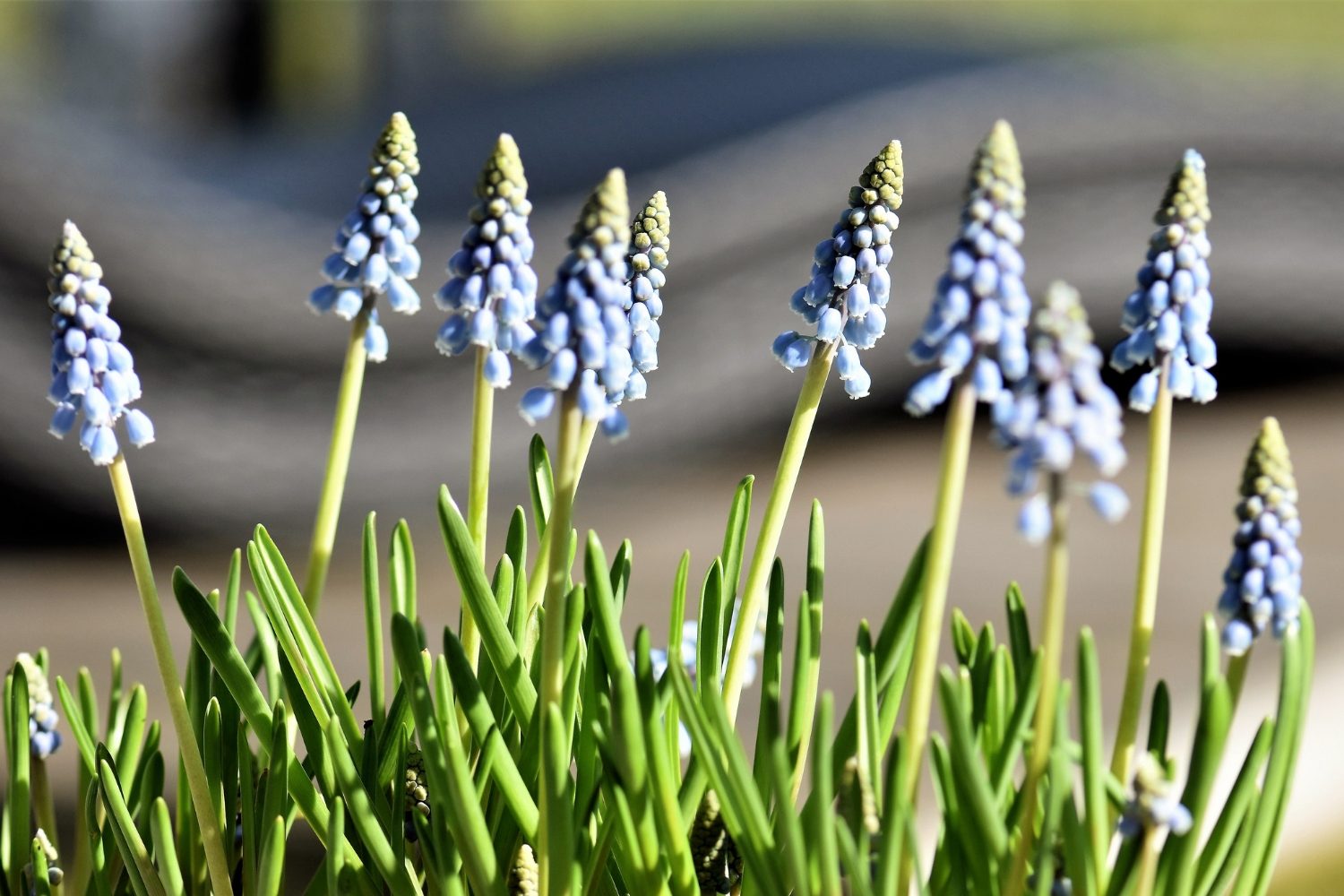 What Causes Insecurity and Jealousy in a Relationship