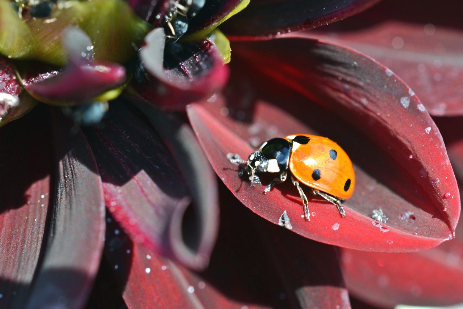 Why Is Self Love Important