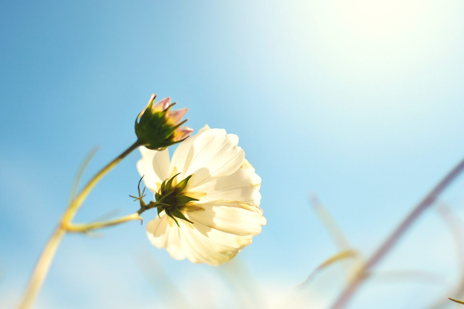 How to Start Over in Life and Reinvent Yourself