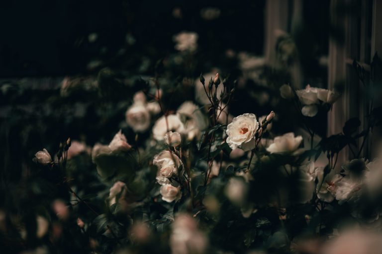 What Do You Wear to a Wake, and What to Wear to a Funeral