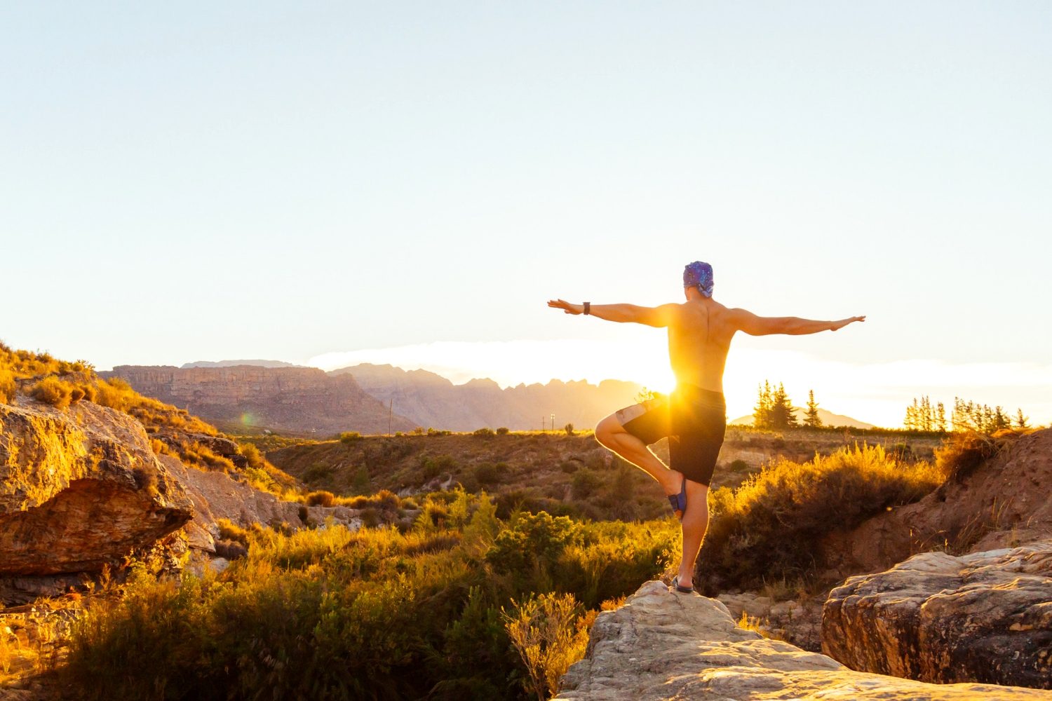 Best Law of Attraction Books