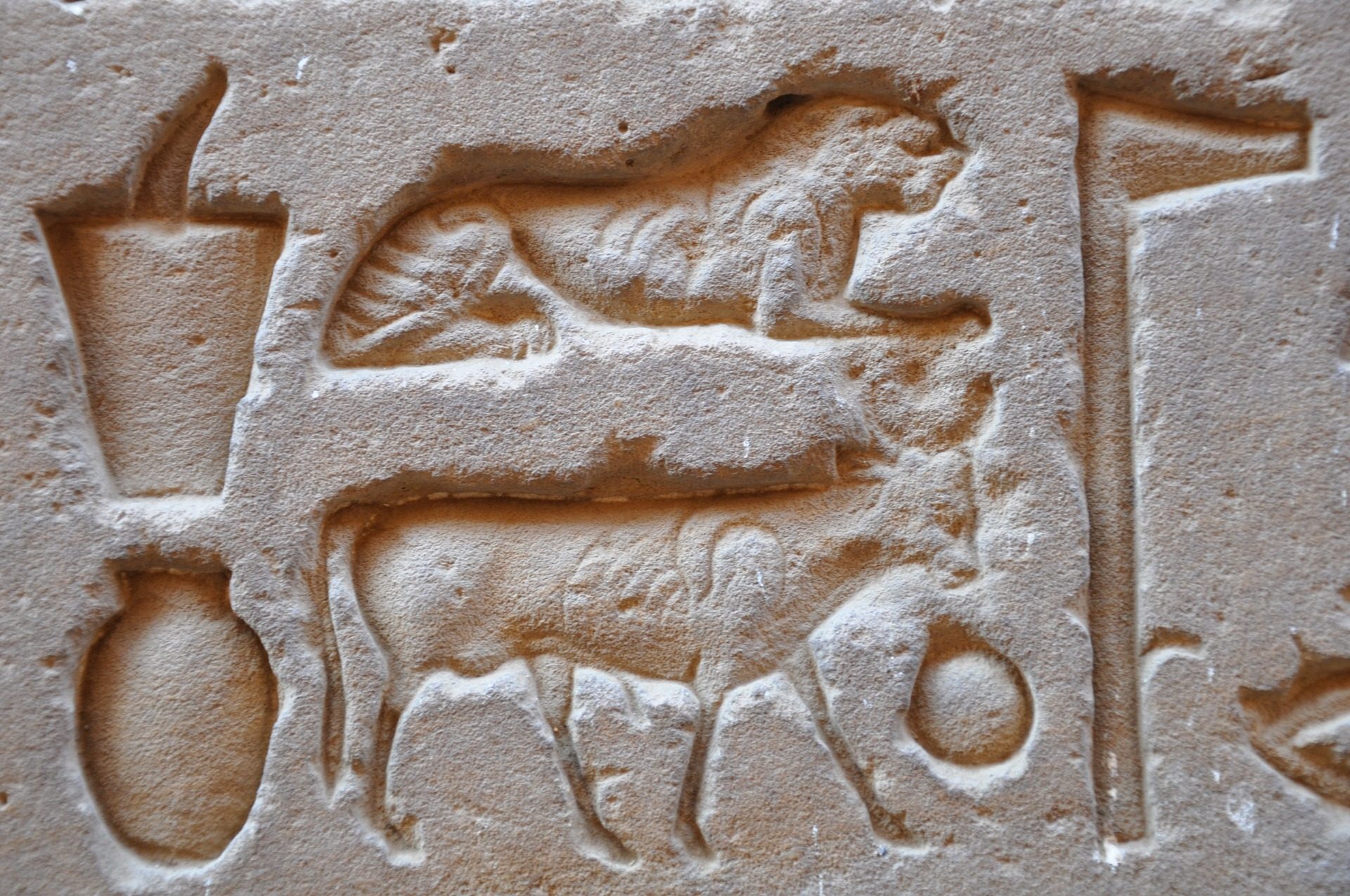 Egypt Temple Hieroglyphs