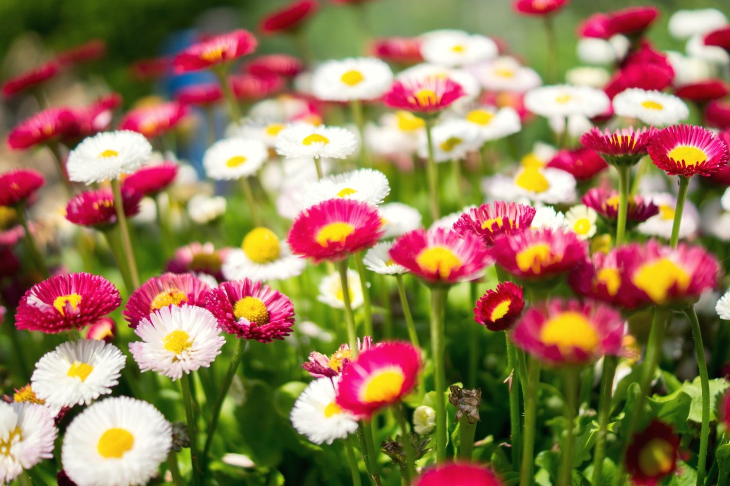 How to modify a habit