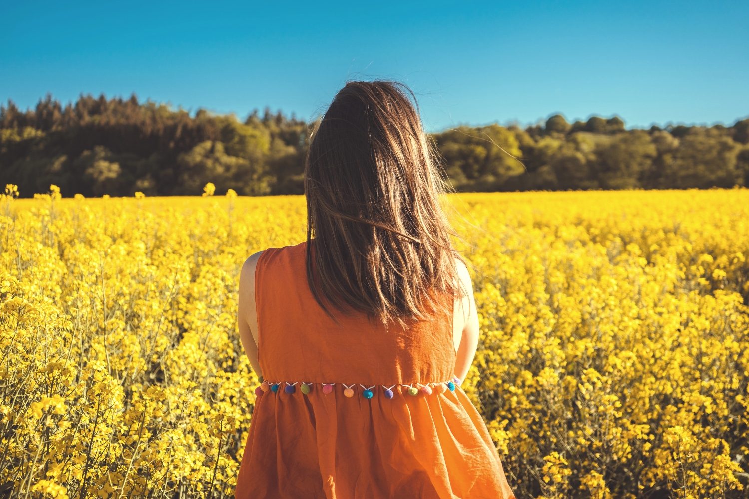 Loved One with Mental Illness