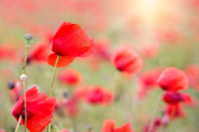 Overcome Perfectionism as an Introvert