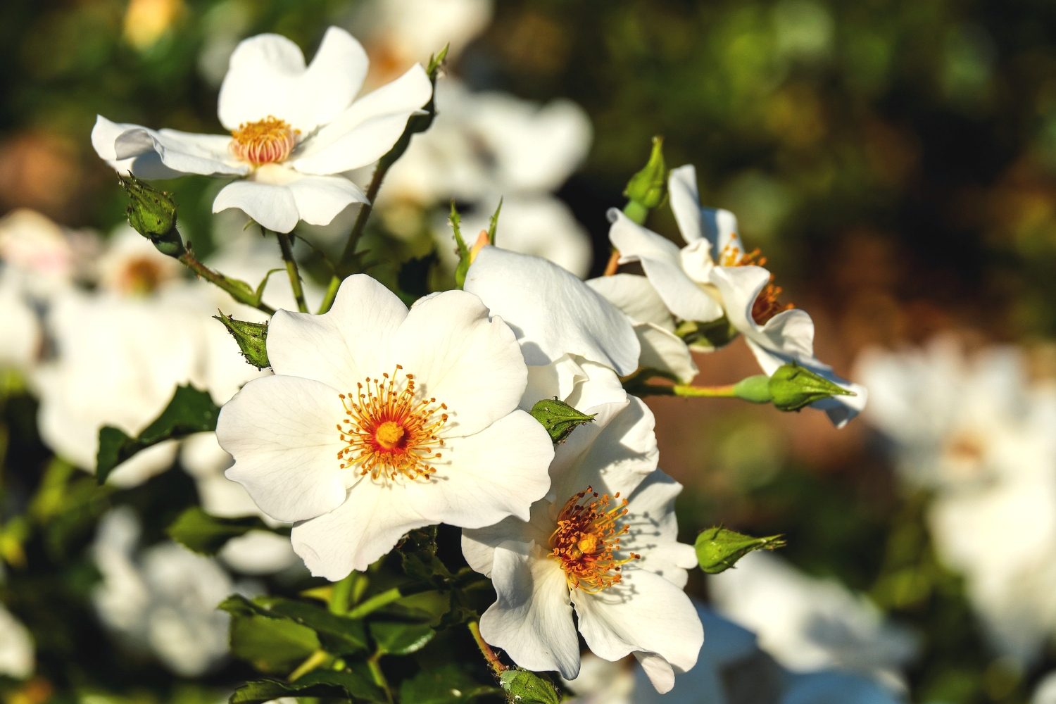 Recovering from life