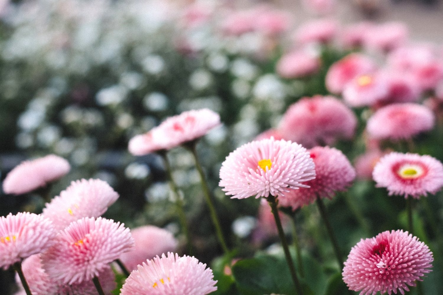 Stop Comparing Yourself to Others