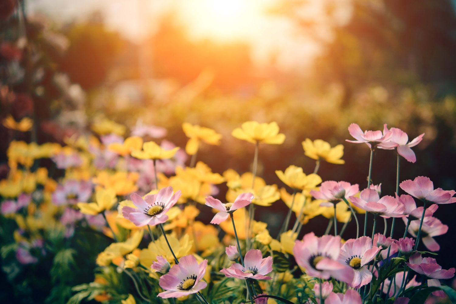 Best Advice They've Ever Received