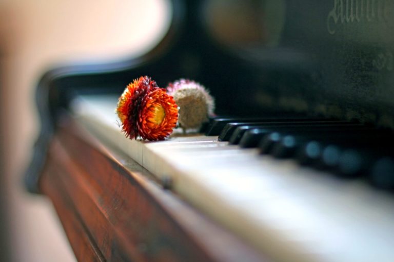 Freddie Mercury Quotes