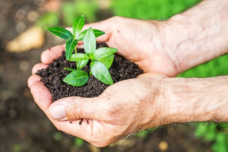 George Washington Carver Quotes