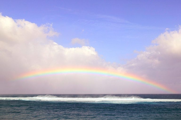 How to Become a Gender Therapist