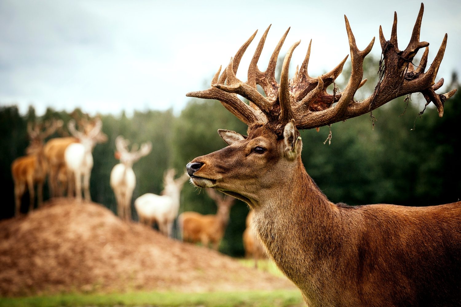 Marcus Garvey Quotes