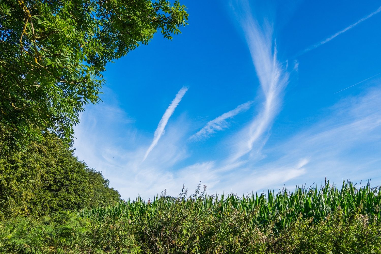 Top 10 tips to enjoy Earth Day this April